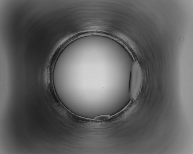X0000099501069200805150945