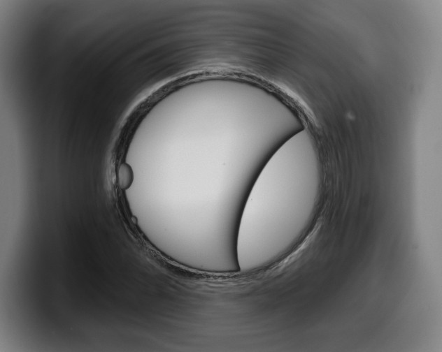 X0000099501070200805150945