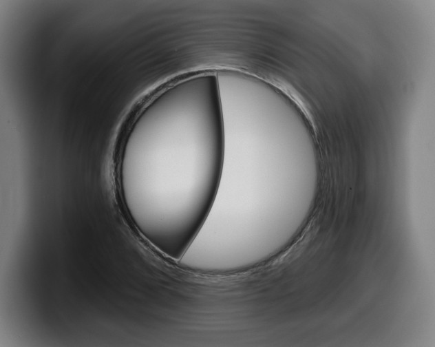 X0000099501072200805150945