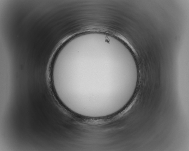 X0000099501074200805150945