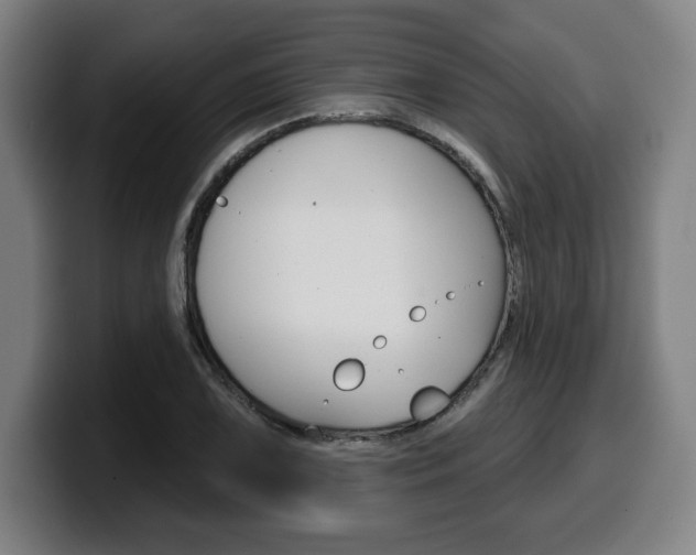 X0000099501075200805150944