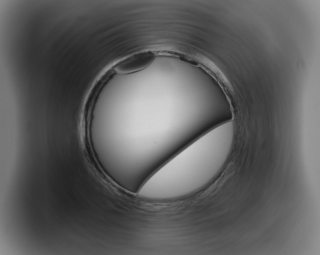X0000099501076200805150944