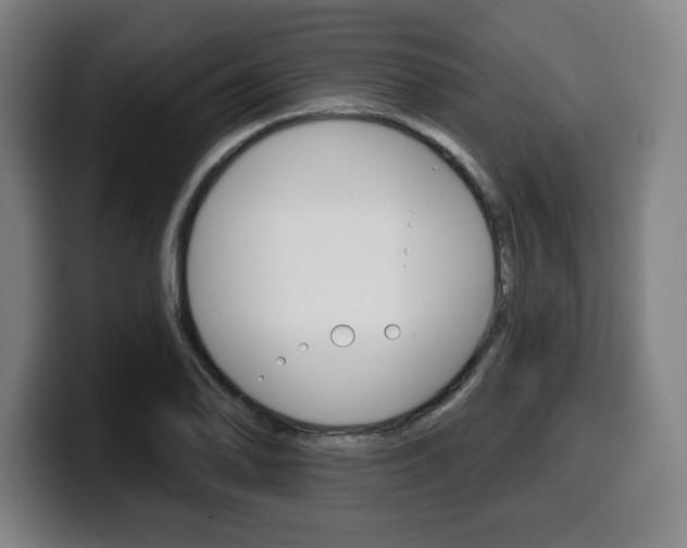 X0000099501078200805150944