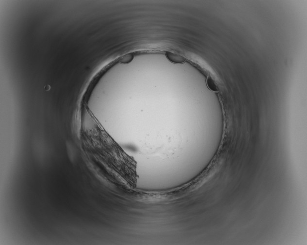 X0000099501079200805150944