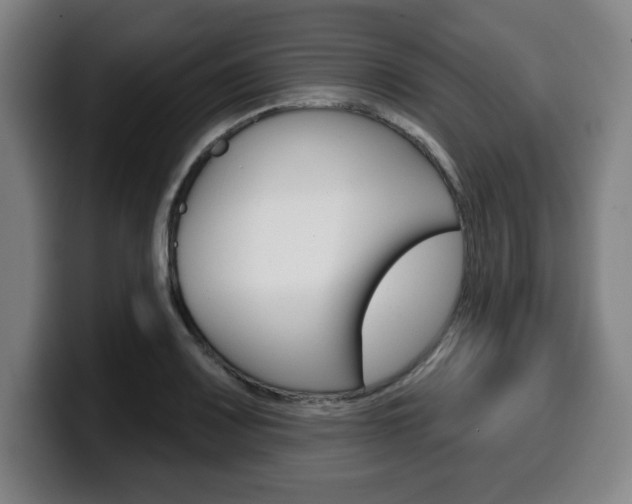 X0000099501083200805150944