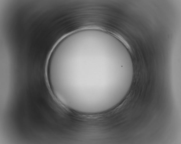 X0000099501084200805150944
