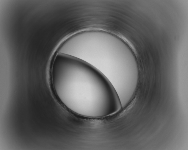 X0000099501085200805150944
