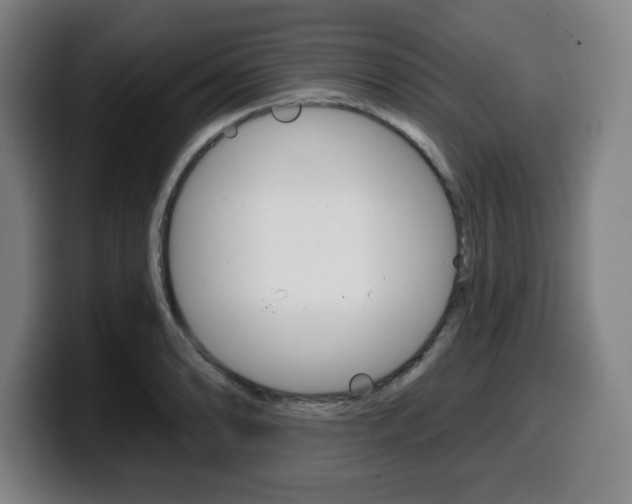 X0000099501086200805150944