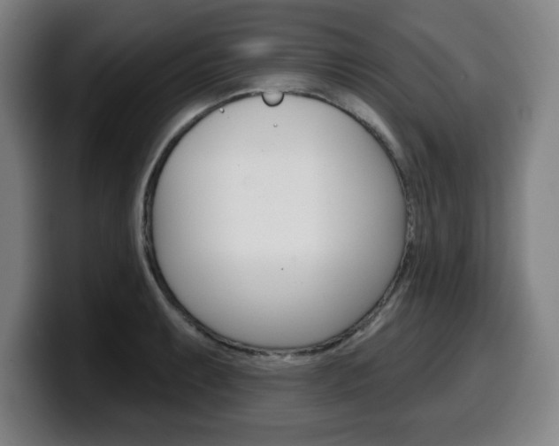 X0000099501087200805150944