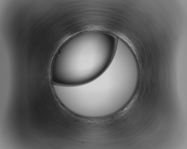 X0000099501089200805150944