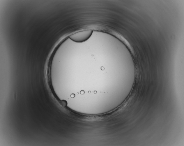 X0000099501091200805150944