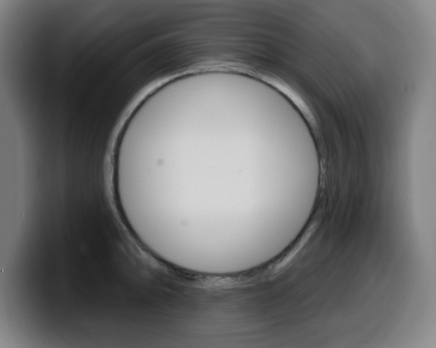 X0000099501094200805150944