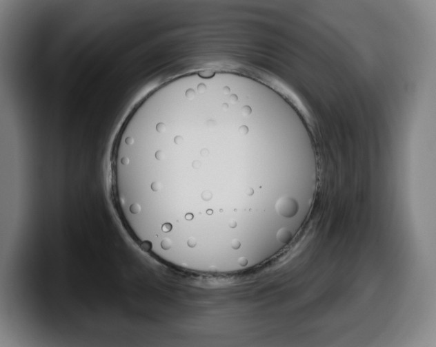 X0000099501095200805150944