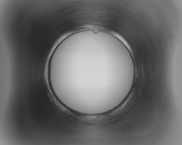 X0000099501098200805150944