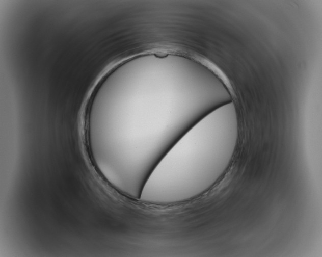 X0000099501099200805150944