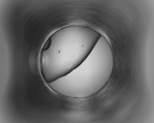 X0000099501103200805150944