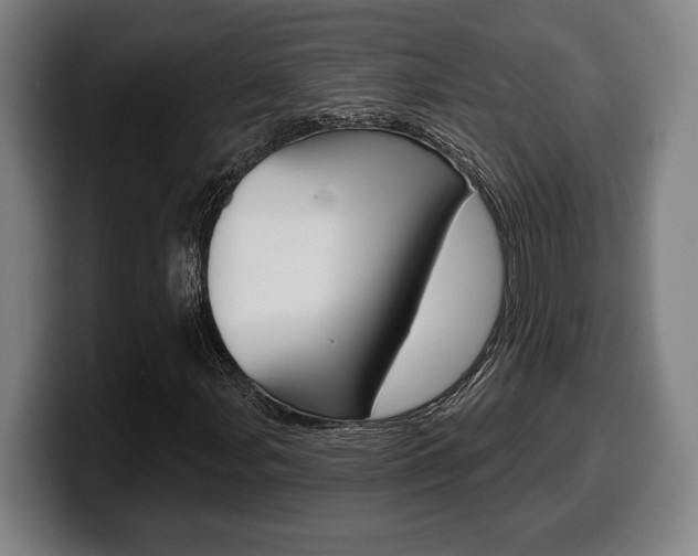 X0000099501107200805150943