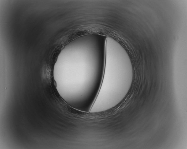 X0000099501108200805150943