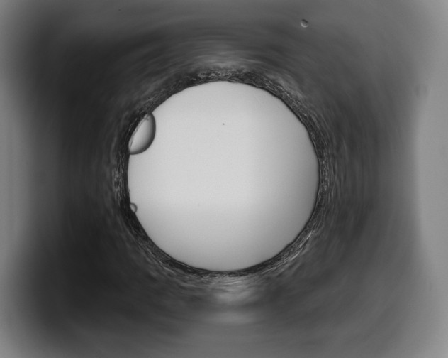 X0000099501109200805150943