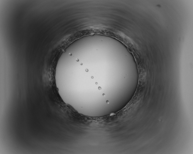 X0000099501110200805150943