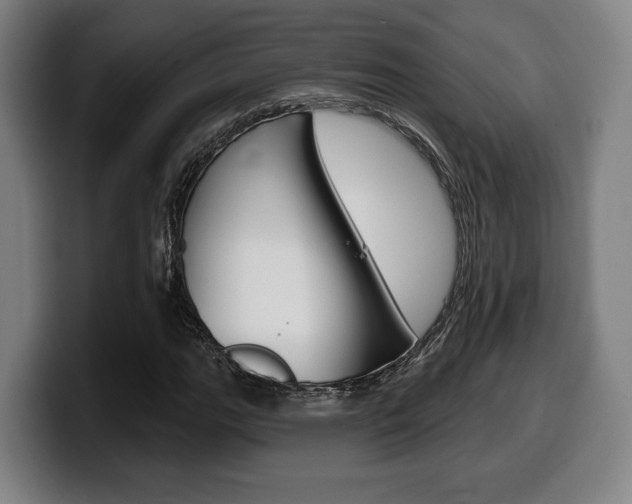 X0000099501111200805150943