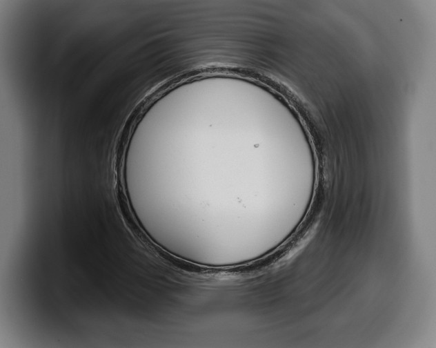 X0000099501113200805150943