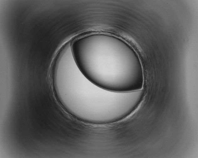 X0000099501114200805150944