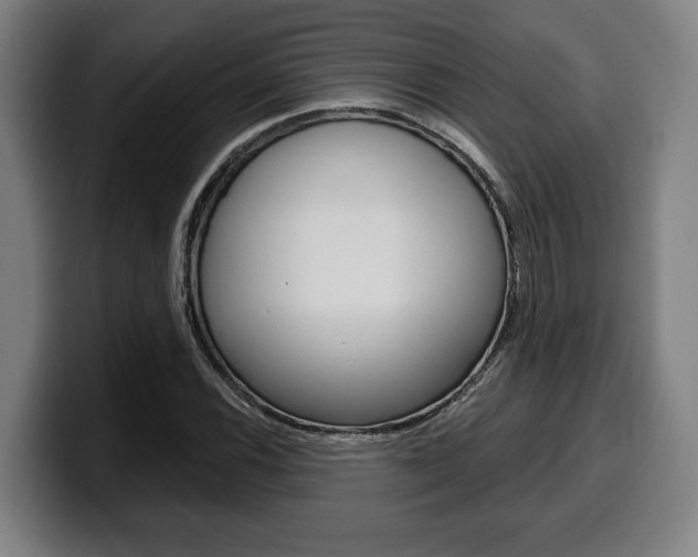 X0000099501116200805150944