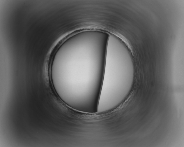 X0000099501120200805150944
