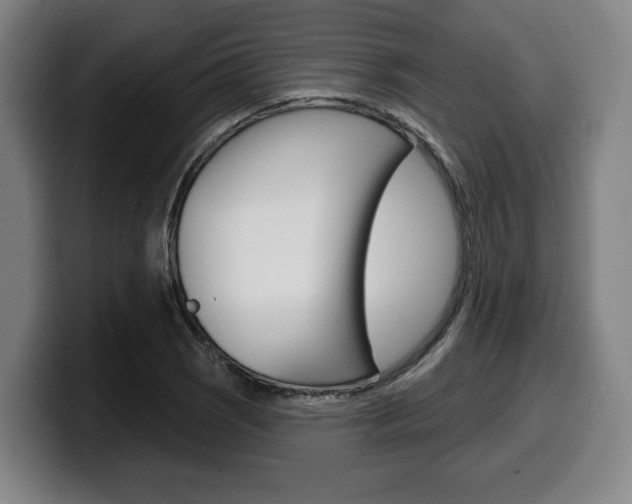 X0000099501121200805150944