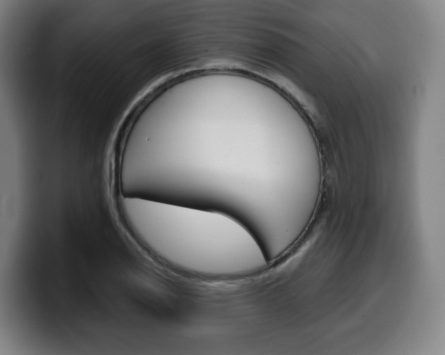 X0000099501126200805150944