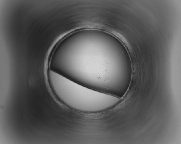 X0000099501128200805150944