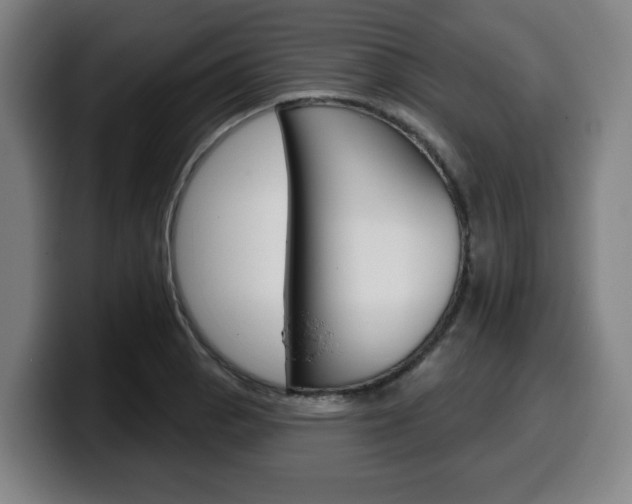 X0000099501129200805150944