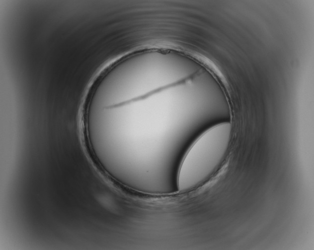 X0000099501133200805150944