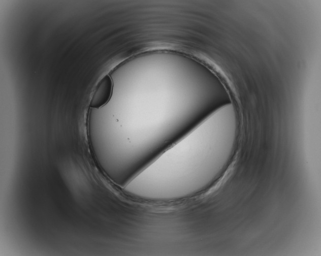X0000099501137200805150944