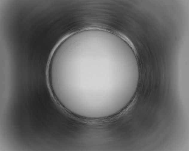 X0000099501138200805150944