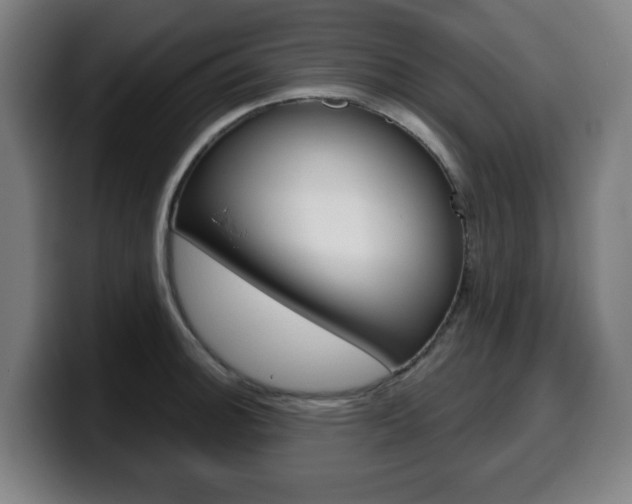 X0000099501140200805150944