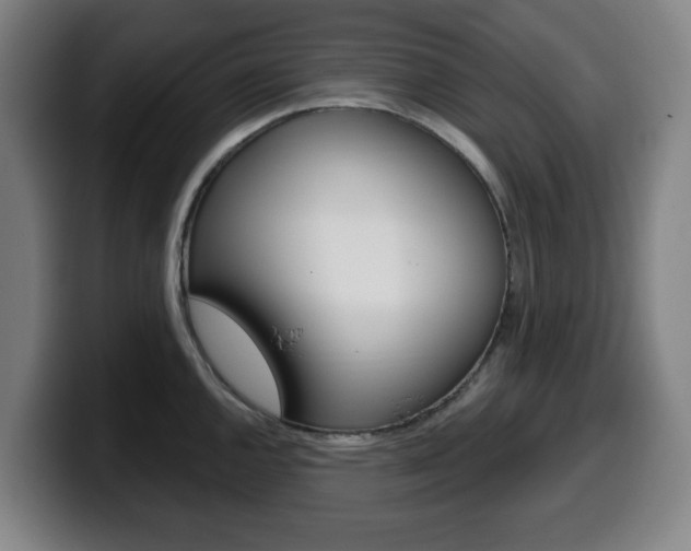 X0000099501144200805150944