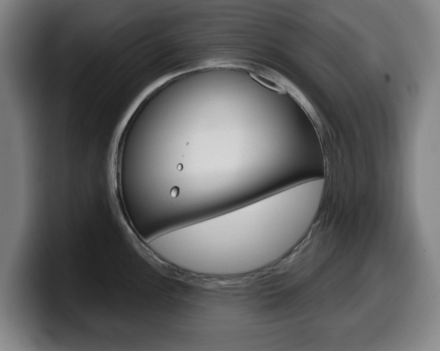 X0000099501148200805150944