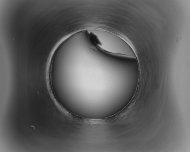 X0000099501152200805150944