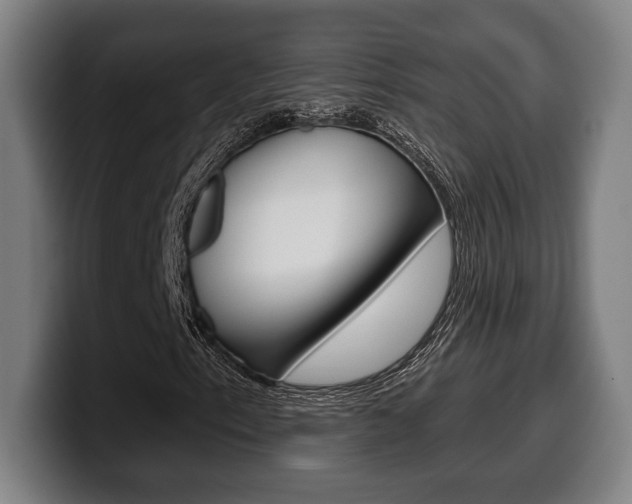 X0000099501153200805150943