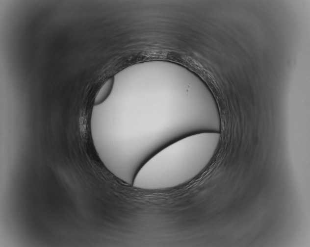 X0000099501154200805150943