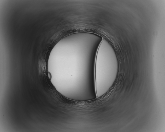 X0000099501155200805150943