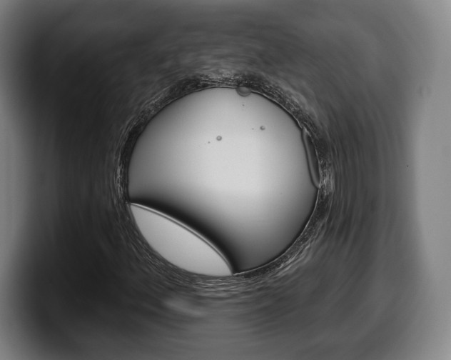 X0000099501156200805150943