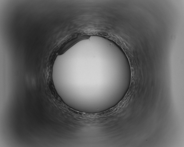 X0000099501157200805150943
