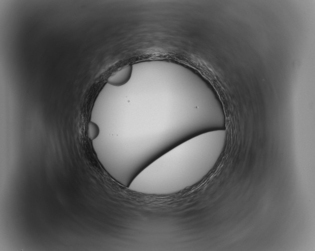 X0000099501158200805150943
