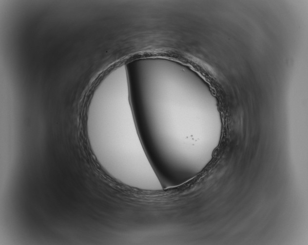 X0000099501160200805150943