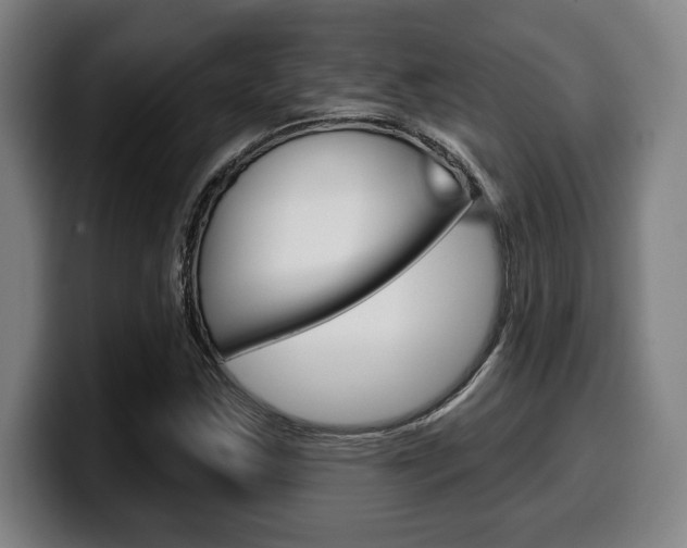 X0000099501163200805150943