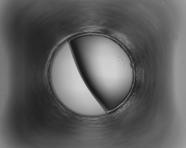 X0000099501164200805150943