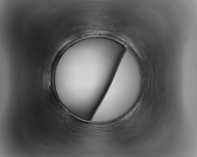 X0000099501165200805150943